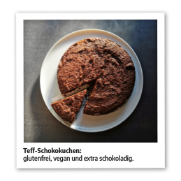 Rezept für Schoko-Kuchen mit Teff-Mehl | vegan & glutenfrei | Govinda Natur