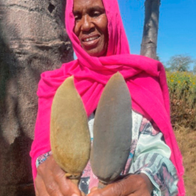 Govinda Natur | Bio-Baobab aus Tansania