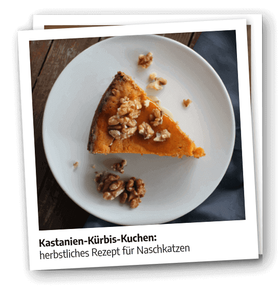 Chestnut Pumpkin Pie | Kastanien Kürbis Kuchen | vegan & glutenfrei